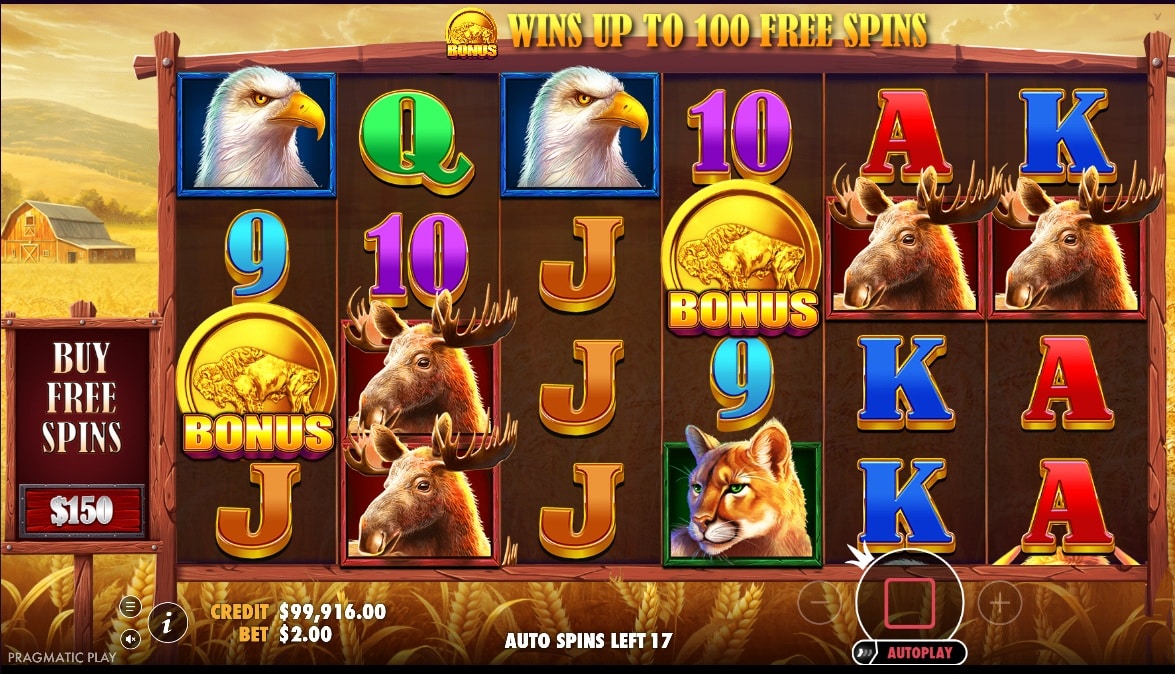 Buffalo King slot